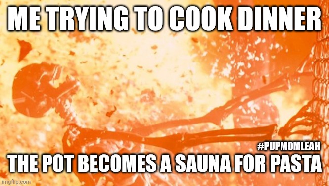 Heatwave | ME TRYING TO COOK DINNER; #PUPMOMLEAH; THE POT BECOMES A SAUNA FOR PASTA | image tagged in heatwave | made w/ Imgflip meme maker
