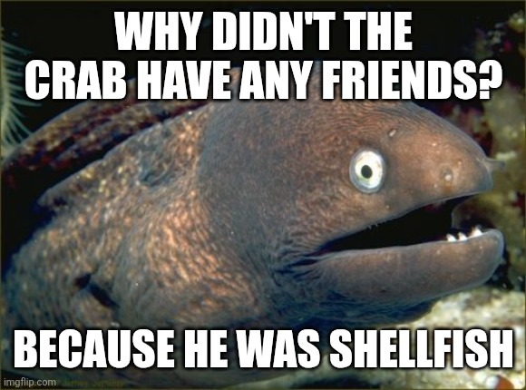 Crab joke. | WHY DIDN'T THE CRAB HAVE ANY FRIENDS? BECAUSE HE WAS SHELLFISH | image tagged in memes,bad joke eel,funny memes | made w/ Imgflip meme maker