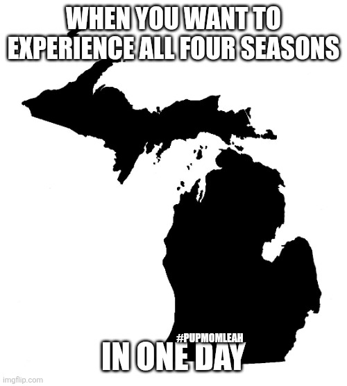 State of Michigan | WHEN YOU WANT TO EXPERIENCE ALL FOUR SEASONS; IN ONE DAY; #PUPMOMLEAH | image tagged in state of michigan | made w/ Imgflip meme maker