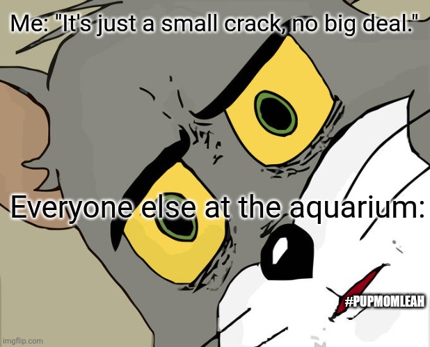Unsettled Tom | Me: "It's just a small crack, no big deal."; Everyone else at the aquarium:; #PUPMOMLEAH | image tagged in memes,unsettled tom | made w/ Imgflip meme maker