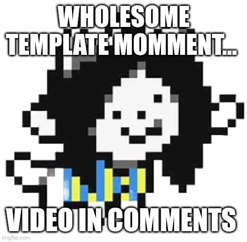 It's wholesome! | WHOLESOME TEMPLATE MOMMENT... VIDEO IN COMMENTS | image tagged in temmie | made w/ Imgflip meme maker