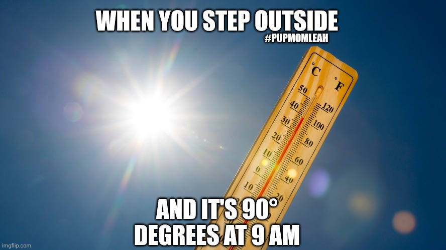 hot af | WHEN YOU STEP OUTSIDE; #PUPMOMLEAH; AND IT'S 90° DEGREES AT 9 AM | image tagged in hot af | made w/ Imgflip meme maker