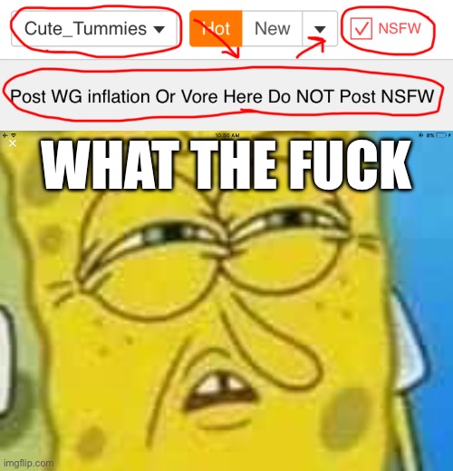 I found this stream | WHAT THE FUCK | image tagged in spongebob angry and confused | made w/ Imgflip meme maker
