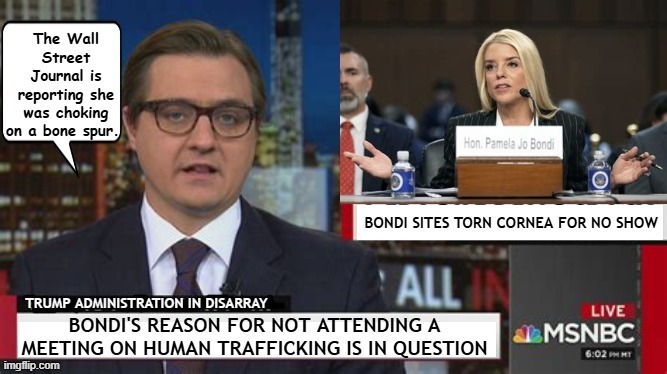 MSNBC Bondi's outta sight | image tagged in msnbc bondi's outta sight,chris hayes,maga mia,ag choking in bone spur,cornea my eye | made w/ Imgflip meme maker
