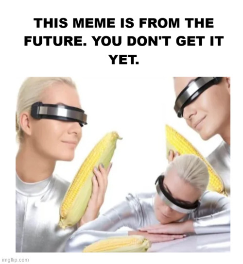 Future Meme | image tagged in the future world if,memes,funny,lattice climbing,latticeclimbing,climber | made w/ Imgflip meme maker