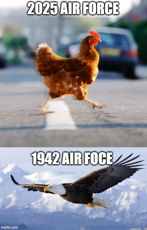 its 2025 not 1942 | 2025 AIR FORCE; 1942 AIR FOCE | image tagged in chicken on the road,eagle | made w/ Imgflip meme maker