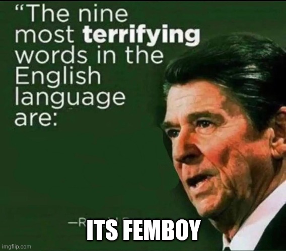 The nine most terrifying words in the English Language | ITS FEMBOY | image tagged in the nine most terrifying words in the english language | made w/ Imgflip meme maker