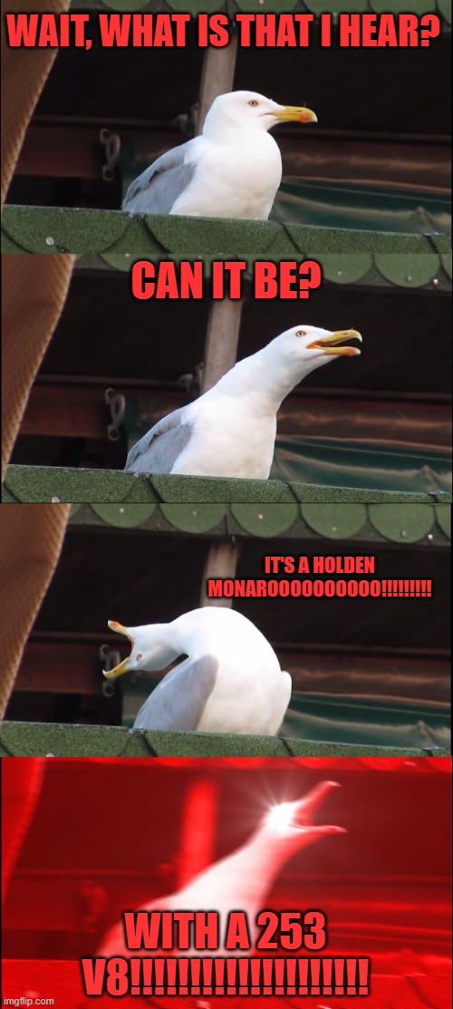 Seagull listening to Red Lion roar | WAIT, WHAT IS THAT I HEAR? CAN IT BE? IT'S A HOLDEN MONAROOOOOOOOOO!!!!!!!!! WITH A 253 V8!!!!!!!!!!!!!!!!!!!! | image tagged in memes,inhaling seagull,car | made w/ Imgflip meme maker