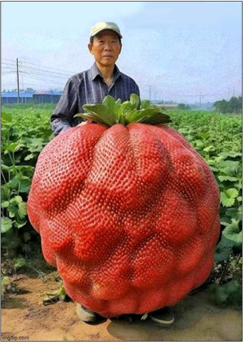 That Must Be A Fukushima Strawberry ! | image tagged in fukushima,strawberry,radioactive,dark humour | made w/ Imgflip meme maker