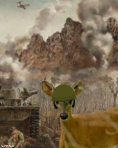 1000 deer stare | image tagged in 1000 deer stare | made w/ Imgflip meme maker