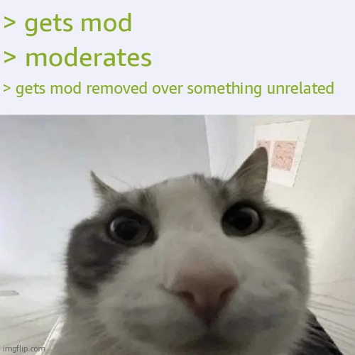 green text cat | > gets mod; > moderates; > gets mod removed over something unrelated | image tagged in green text cat | made w/ Imgflip meme maker