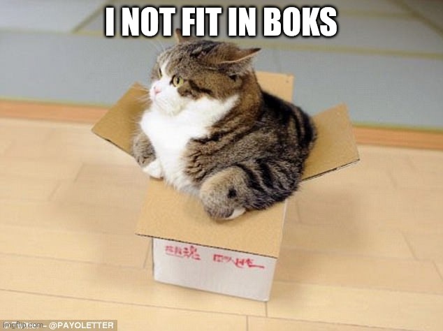 cat that doesn't fit in box | I NOT FIT IN BOKS | image tagged in cat that doesn't fit in box | made w/ Imgflip meme maker