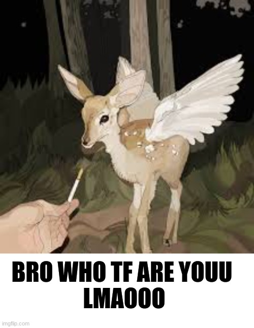 BRO WHO TF ARE YOUU 

LMAOOO | image tagged in ashercore,blank white template | made w/ Imgflip meme maker