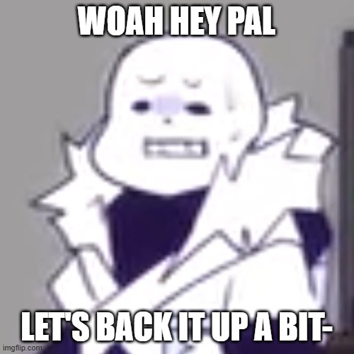 Cross! Sans wtf | WOAH HEY PAL LET'S BACK IT UP A BIT- | image tagged in cross sans wtf | made w/ Imgflip meme maker