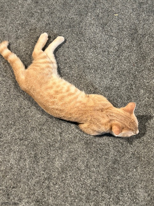 carl imma leak yo shi rn | made w/ Imgflip meme maker