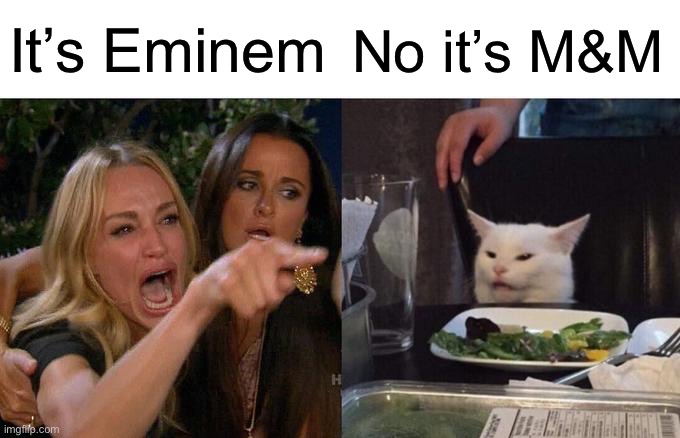 Woman Yelling At Cat Meme | It’s Eminem; No it’s M&M | image tagged in memes,woman yelling at cat | made w/ Imgflip meme maker