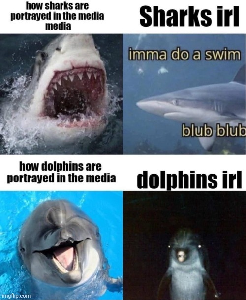 . | image tagged in sharks vs dolphins,sharks,memes | made w/ Imgflip meme maker