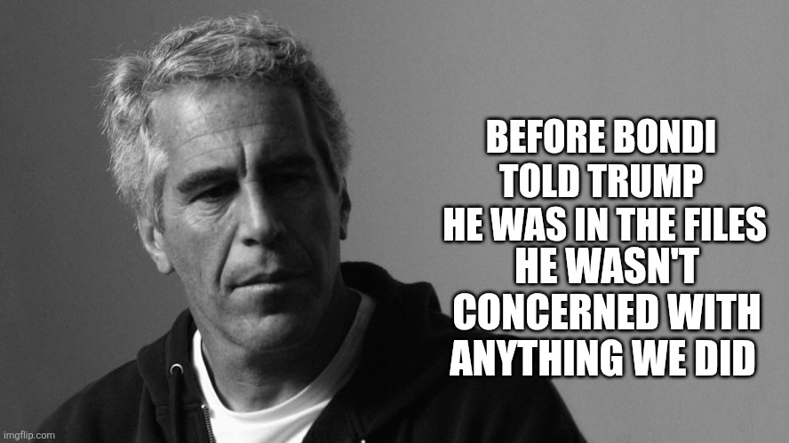 Elon was right. | BEFORE BONDI
 TOLD TRUMP 

 HE WAS IN THE FILES; HE WASN'T CONCERNED WITH ANYTHING WE DID | image tagged in jeffrey epstein,trump,files,guilty,cover up | made w/ Imgflip meme maker