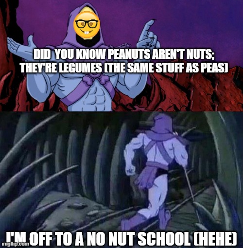 the school never said no legumes | DID  YOU KNOW PEANUTS AREN'T NUTS; THEY'RE LEGUMES (THE SAME STUFF AS PEAS); I'M OFF TO A NO NUT SCHOOL (HEHE) | image tagged in he man skeleton advices | made w/ Imgflip meme maker