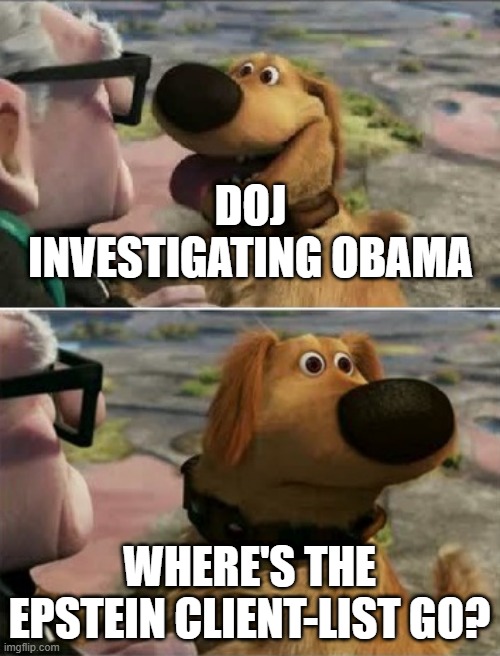 distracted by squirrel | DOJ INVESTIGATING OBAMA WHERE'S THE EPSTEIN CLIENT-LIST GO? | image tagged in distracted by squirrel | made w/ Imgflip meme maker