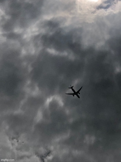 American Airlines flying over me | made w/ Imgflip meme maker