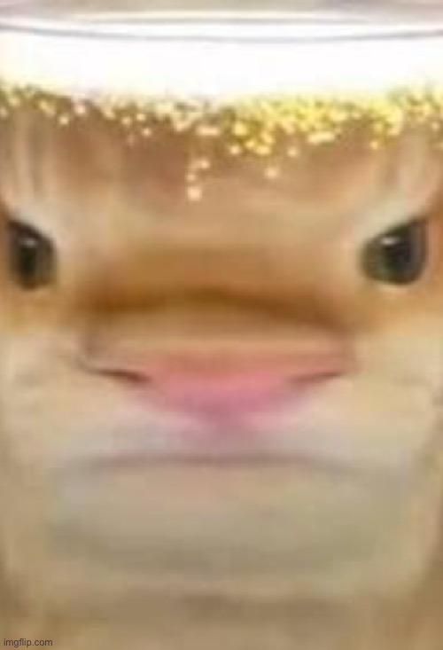 yar | image tagged in yar | made w/ Imgflip meme maker
