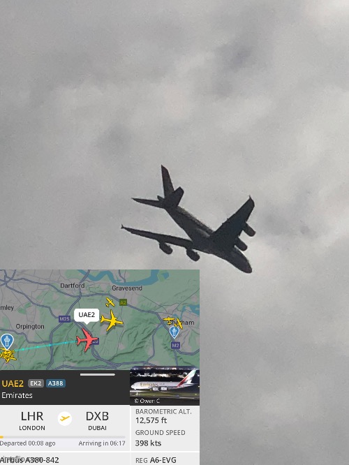 Quite rare | made w/ Imgflip meme maker