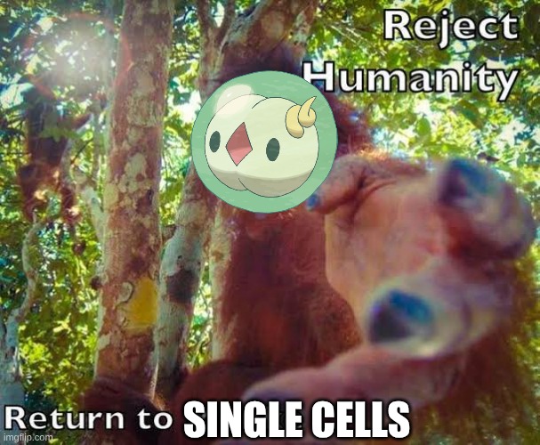 Return to monke | SINGLE CELLS | image tagged in return to monke | made w/ Imgflip meme maker