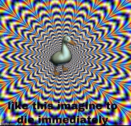 what | image tagged in what | made w/ Imgflip meme maker