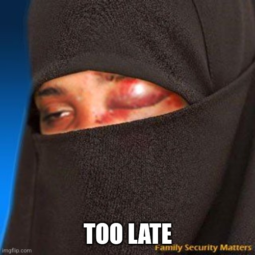 Muslim woman | TOO LATE | image tagged in muslim woman | made w/ Imgflip meme maker