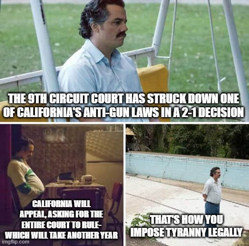 The circle of legal tyranny | THE 9TH CIRCUIT COURT HAS STRUCK DOWN ONE OF CALIFORNIA'S ANTI-GUN LAWS IN A 2-1 DECISION; CALIFORNIA WILL APPEAL, ASKING FOR THE ENTIRE COURT TO RULE- WHICH WILL TAKE ANOTHER YEAR; THAT'S HOW YOU IMPOSE TYRANNY LEGALLY | image tagged in memes,sad pablo escobar | made w/ Imgflip meme maker