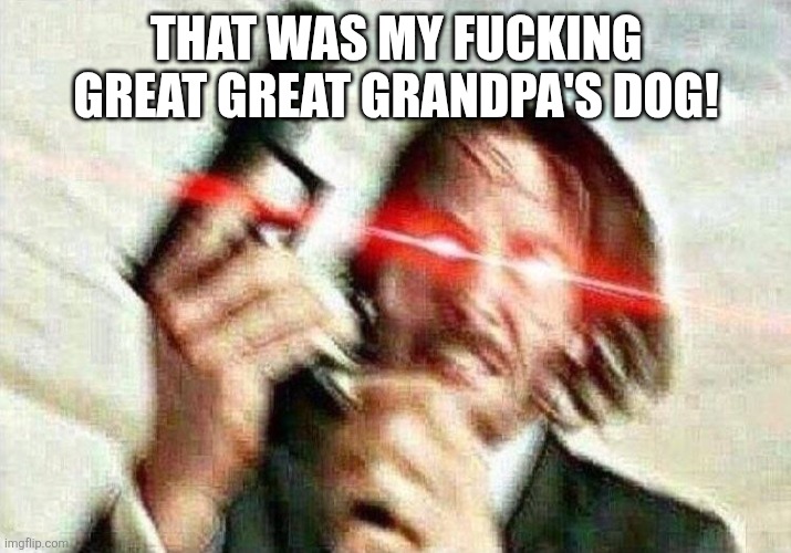 John Wick | THAT WAS MY FUCKING GREAT GREAT GRANDPA'S DOG! | image tagged in john wick | made w/ Imgflip meme maker