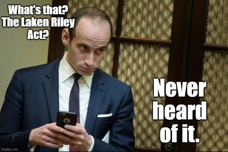 Stephen Miller Cellphone | What's that?
The Laken Riley
Act? Never heard
of it. | image tagged in stephen miller cellphone | made w/ Imgflip meme maker