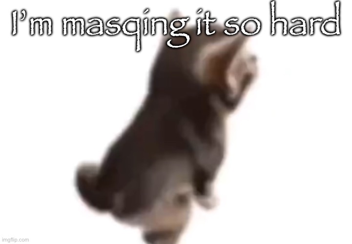 Side el gatito | I’m masqing it so hard | image tagged in side el gatito | made w/ Imgflip meme maker
