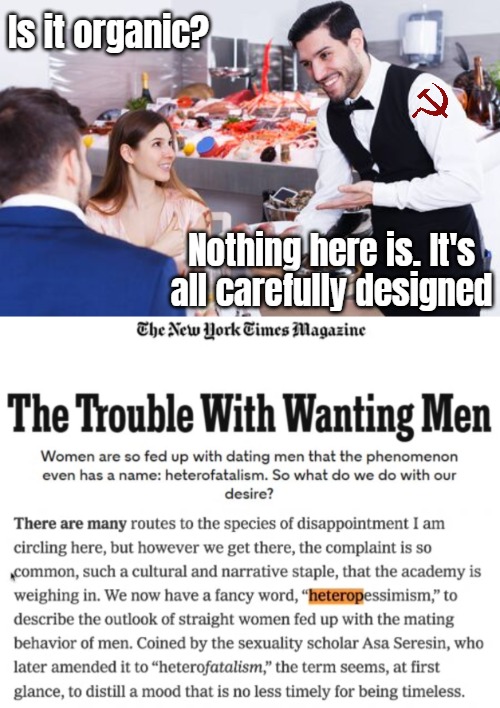 Academic misandry with mainstream promotion. You create a problem and blame "society"... | Is it organic? Nothing here is. It's all carefully designed | image tagged in communist socialist,news,feminism | made w/ Imgflip meme maker
