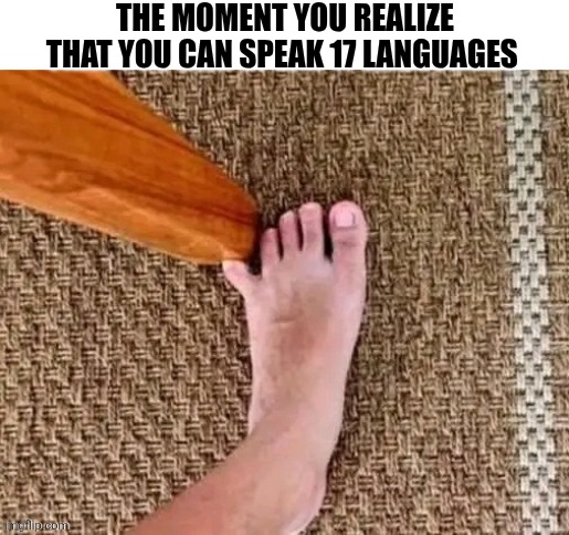 The Moment You Realize You Can Speak 17 Languages | THE MOMENT YOU REALIZE THAT YOU CAN SPEAK 17 LANGUAGES | image tagged in chrisjoines1 | made w/ Imgflip meme maker