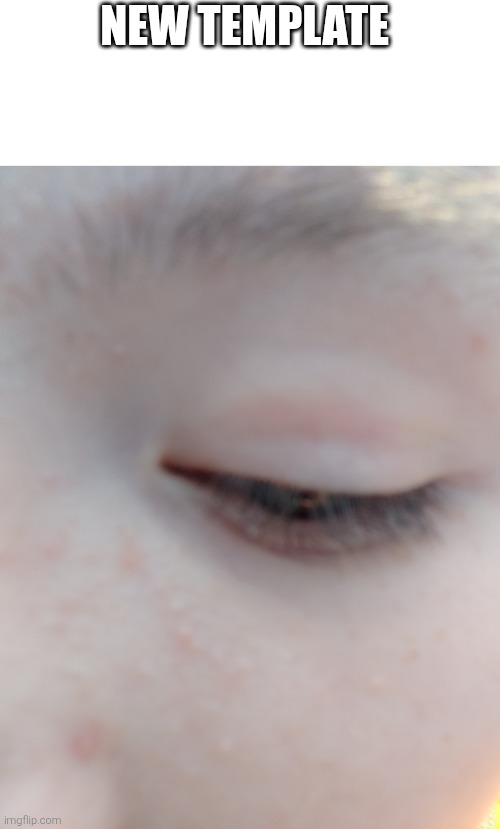 NEW TEMPLATE | image tagged in philyakotgames' right eye | made w/ Imgflip meme maker