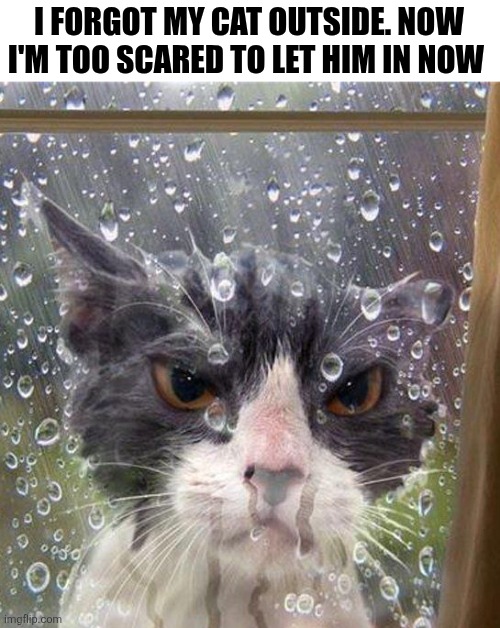 I Forgot My Cat Outside. | I FORGOT MY CAT OUTSIDE. NOW I'M TOO SCARED TO LET HIM IN NOW | image tagged in chrisjoines1 | made w/ Imgflip meme maker