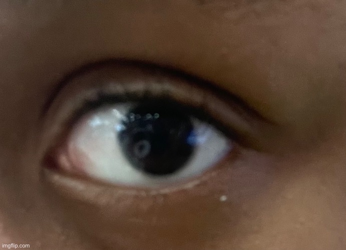 Eye revea | made w/ Imgflip meme maker