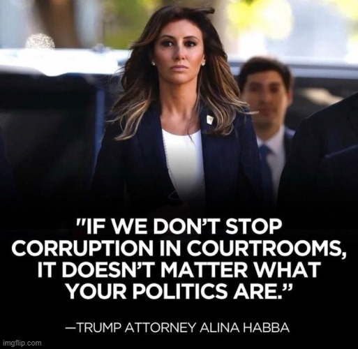 It has come down to choosing Good over Evil | image tagged in alina habba,corrupt,judges,corruption,good vs evil,choose wisely | made w/ Imgflip meme maker