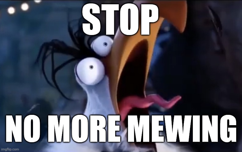 STOP NO MORE MEWING | image tagged in mighty eagle scream | made w/ Imgflip meme maker