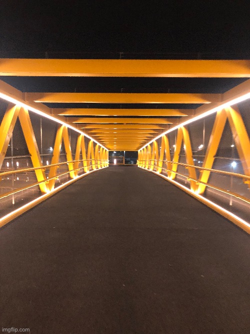 Bridge reveal | image tagged in this photo was taken yesternight | made w/ Imgflip meme maker