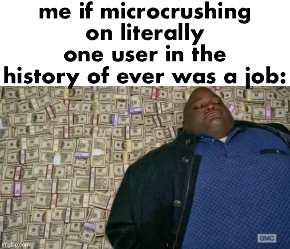 stealing ideas time | me if microcrushing on literally one user in the history of ever was a job: | made w/ Imgflip meme maker