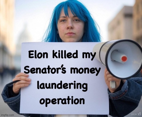 Only DEMOCRATS would NOT be opposed to waste, fraud & abuse! | image tagged in government corruption,evil government,dirty,money,elon musk,make america great again | made w/ Imgflip meme maker