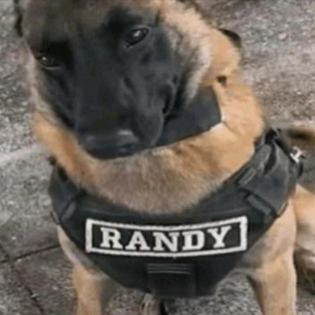 Randy Blank Meme Template
