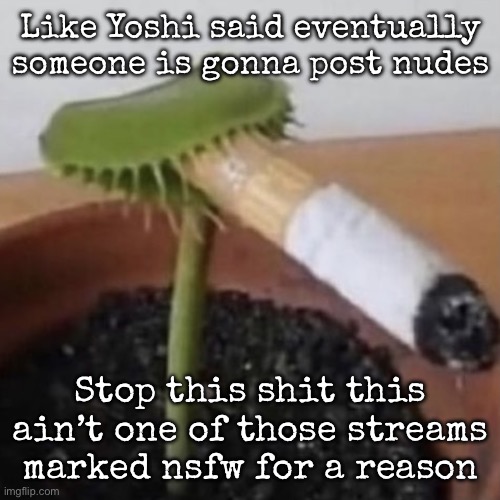 plant weeds | Like Yoshi said eventually someone is gonna post nudes; Stop this shit this ain’t one of those streams marked nsfw for a reason | image tagged in plant weeds,msmg | made w/ Imgflip meme maker