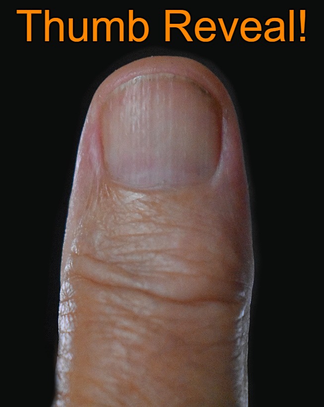 thumb reveal | Thumb Reveal! | image tagged in thumb,kewlew | made w/ Imgflip meme maker
