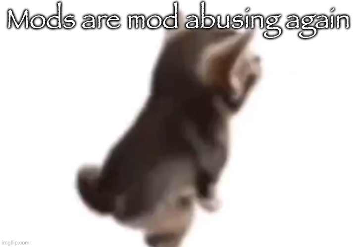 Thighs aren’t against stream rules lmao | Mods are mod abusing again | image tagged in side el gatito | made w/ Imgflip meme maker