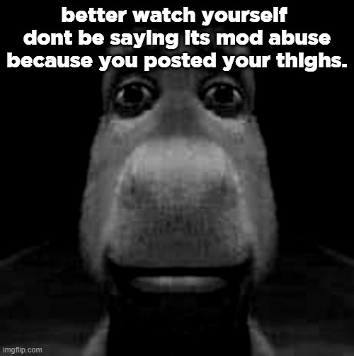 Donkey staring | better watch yourself 
dont be saying its mod abuse because you posted your thighs. | image tagged in donkey staring | made w/ Imgflip meme maker