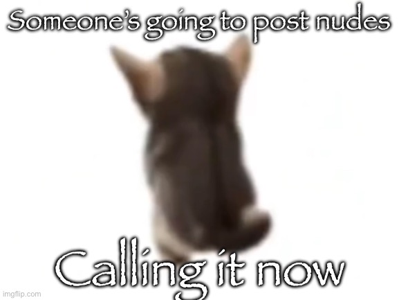 El gatito | Someone’s going to post nudes; Calling it now | image tagged in el gatito | made w/ Imgflip meme maker